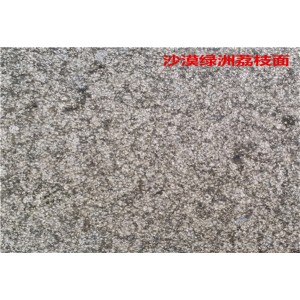 沙漠绿洲荔枝面