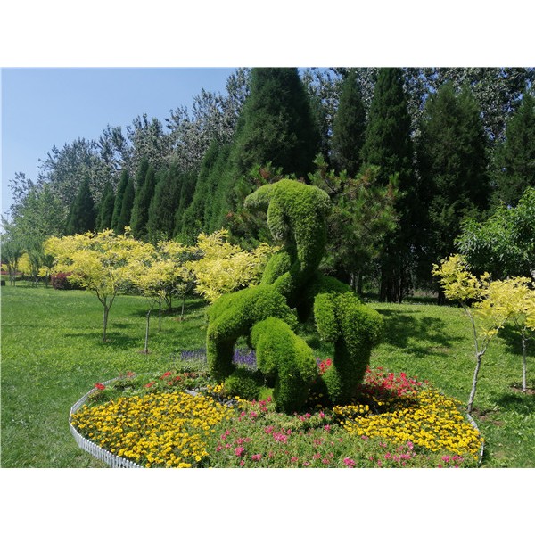 植物绿雕造型