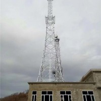 钢构组合电视塔