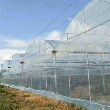 连栋温室大棚
