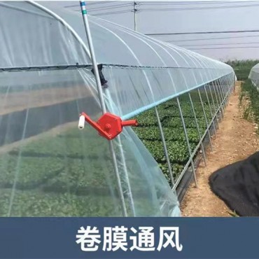单体大棚
