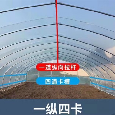 单体大棚